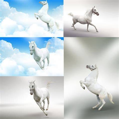 当年轻人开始寻找‘电子榨菜’之外的深夜慰藉